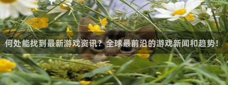 杜邦娱乐代理登陆：何处能找到最新游戏资讯？全球最前沿的游戏新