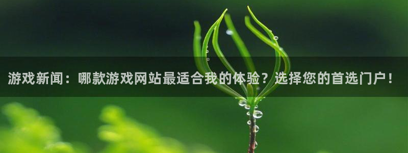 杜邦娱乐登录地址：游戏新闻：哪款游戏网站最适合我的体验？选择