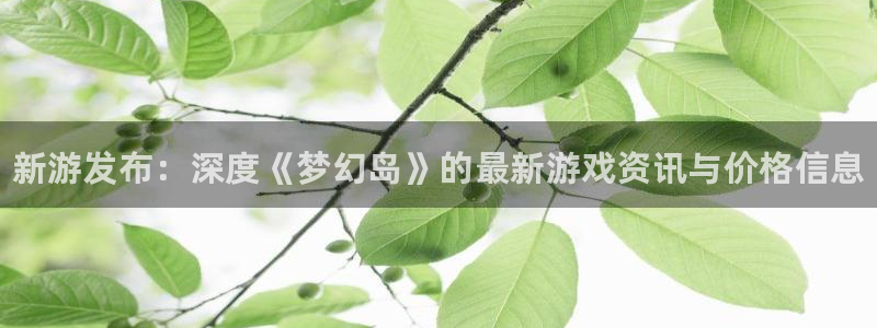 杜邦娱乐主管