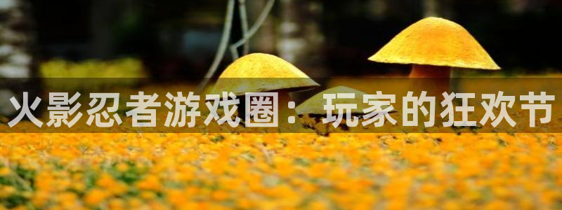 杜邦娱乐开户测速：火影忍者游戏圈：玩家的狂欢节