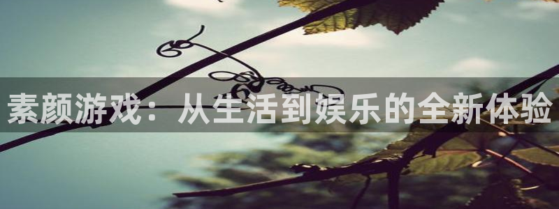杜邦娱乐线路测试：素颜游戏：从生活到娱乐的全新体验