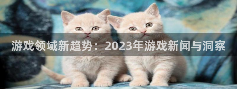 杜邦娱乐什么意思