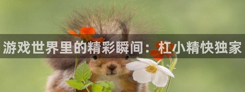 杜邦娱乐注册服务条款：游戏世界里的精彩瞬间：杠小精快独家