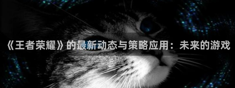 杜邦娱乐科技：《王者荣耀》的最新动态与策略应用：未来的游戏