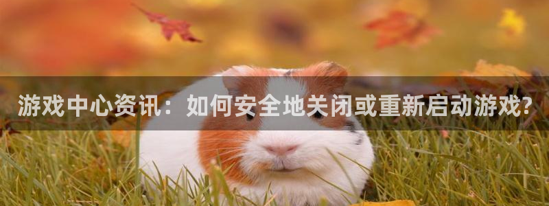 杜邦娱乐游戏：游戏中心资讯：如何安全地关闭或重新启动游戏?