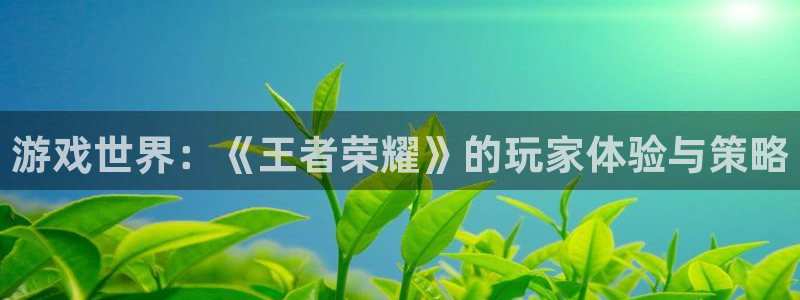 杜邦娱乐登陆测速：游戏世界：《王者荣耀》的玩家体验与策略