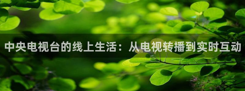 松鼠网官方下载：中央电视台的线上生活：从电视转播到实时互动
