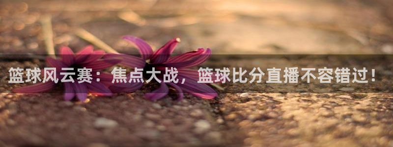 松鼠直播：篮球风云赛：焦点大战，篮球比分直播不容错过！