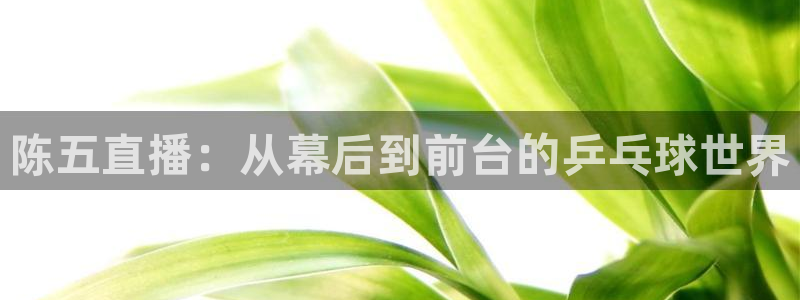 松鼠直播体育免费：陈五直播：从幕后到前台的乒乓球世界