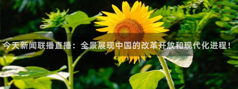 松鼠体育在线直播视频：今天新闻联播直播：全景展现中国的改革开放和现代化进程！