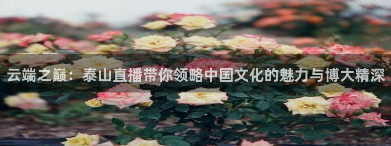 松鼠直播nba：云端之巅：泰山直播带你领略中国文化的魅力与博大精深