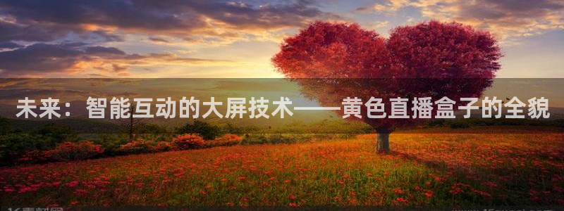 松鼠直播tv：未来：智能互动的大屏技术——黄色直播盒子的全貌