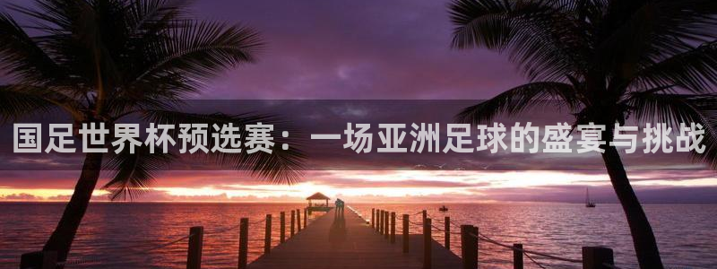 松鼠体育在线直播下载：国足世界杯预选赛：一场亚洲足球的盛宴与挑战