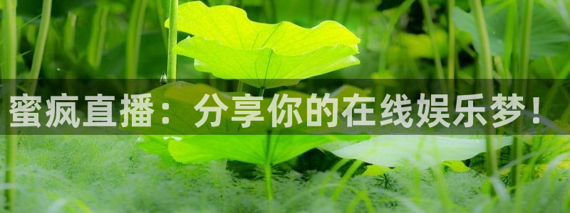 下载松鼠电视直播：蜜疯直播：分享你的在线娱乐梦！