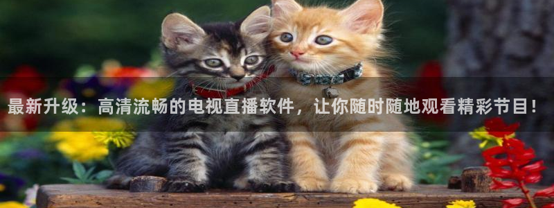 松鼠平台：最新升级：高清流畅的电视直播软件，让你随时随地观看精彩节目！